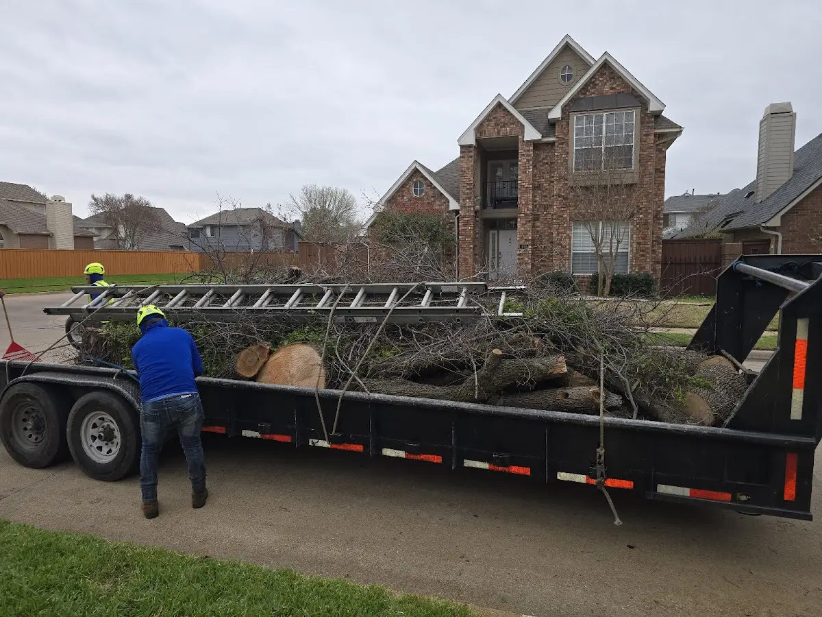 Expert Lot Clearing with proper safety equipment in Boyd